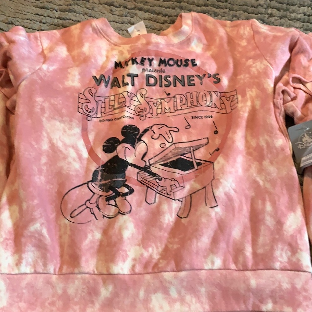 Mickey mouse’s hoodie